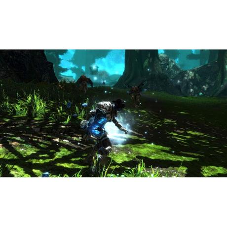 THQ  Kingdoms of Amalur : Re-Reckoning 