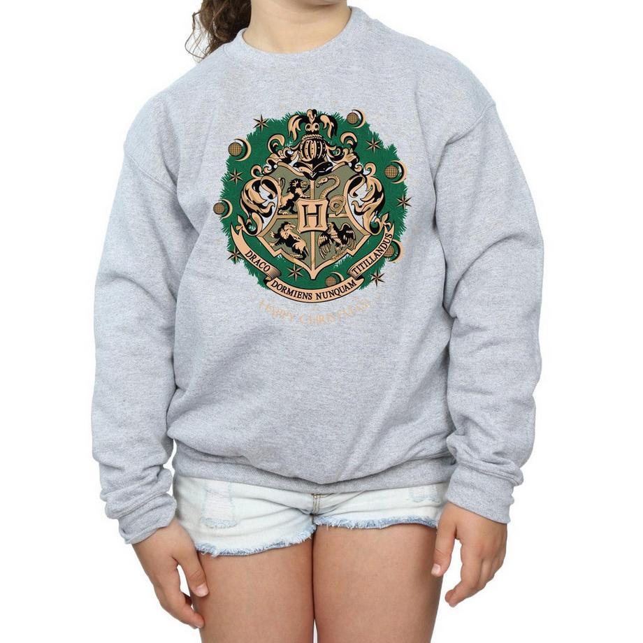 Harry Potter  Sweatshirt 