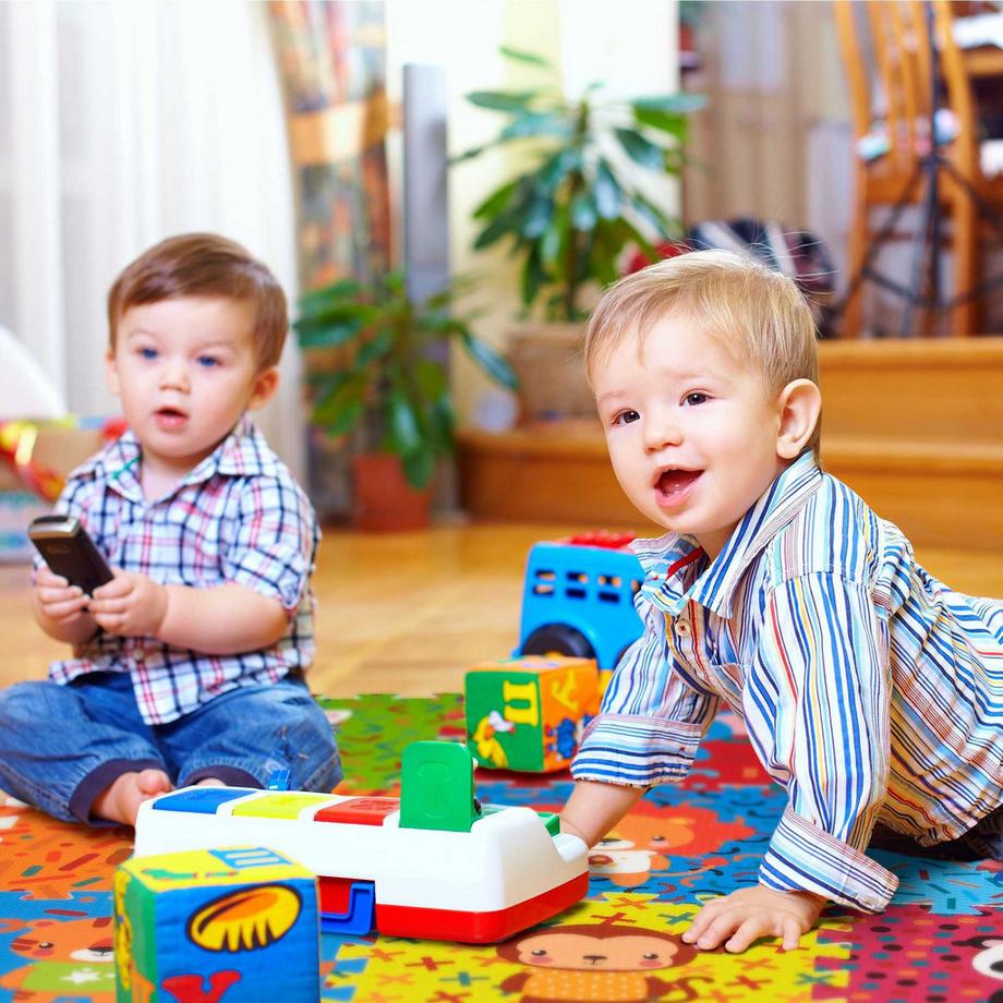 B2X  Puzzlematte für Tiere 