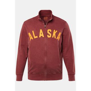 JP1880 Sweatjacke Stehkragen Vintage Look Print  