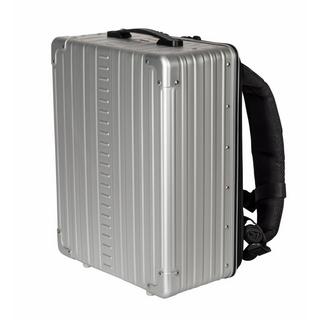 Aleon Zaino ibrido 17  