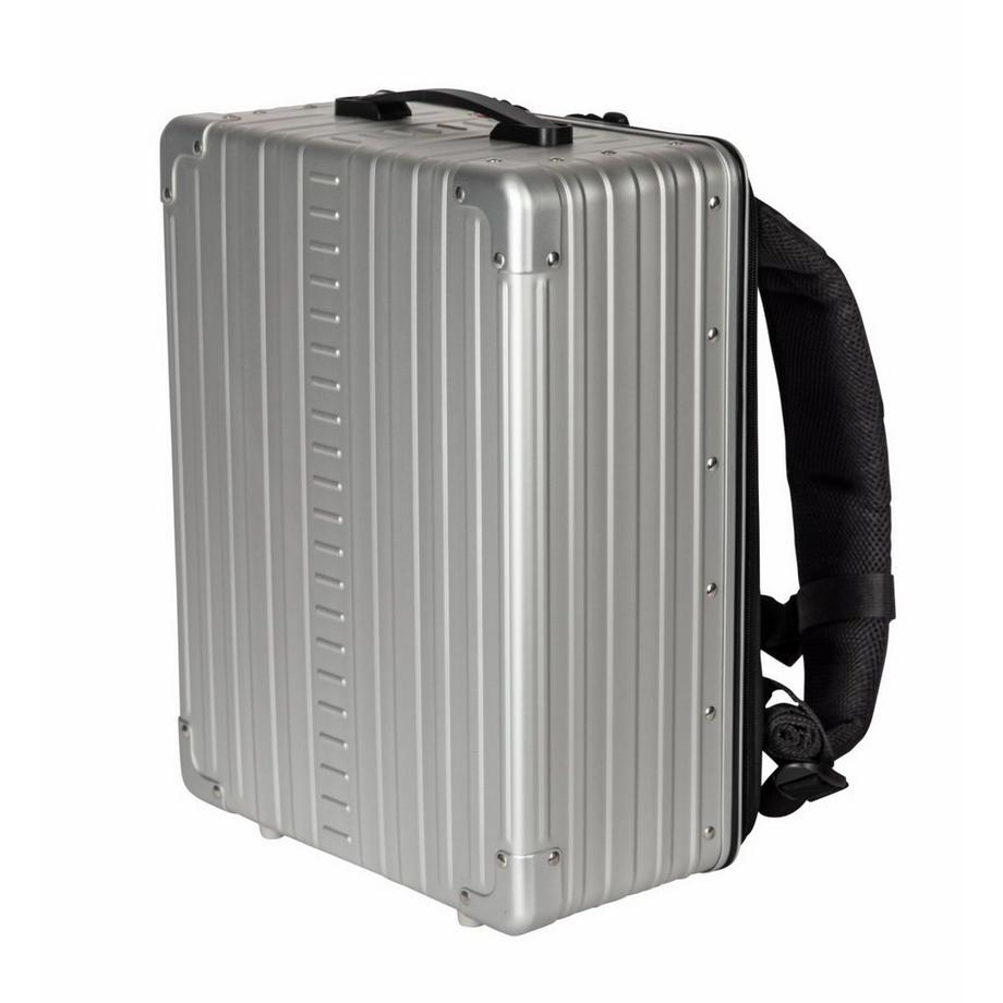 Aleon Zaino ibrido 17  