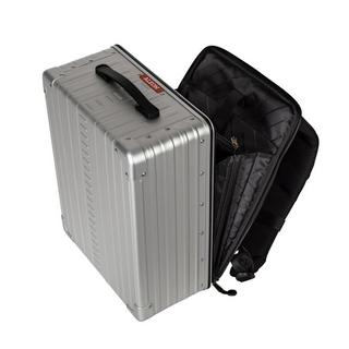 Aleon Zaino ibrido 17  