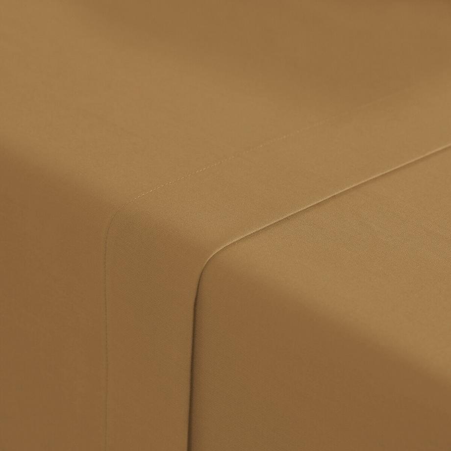 La Redoute Intérieurs Drap plat en coton Scenario  