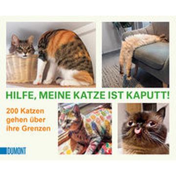 Hilfe, meine Katze ist kaputt