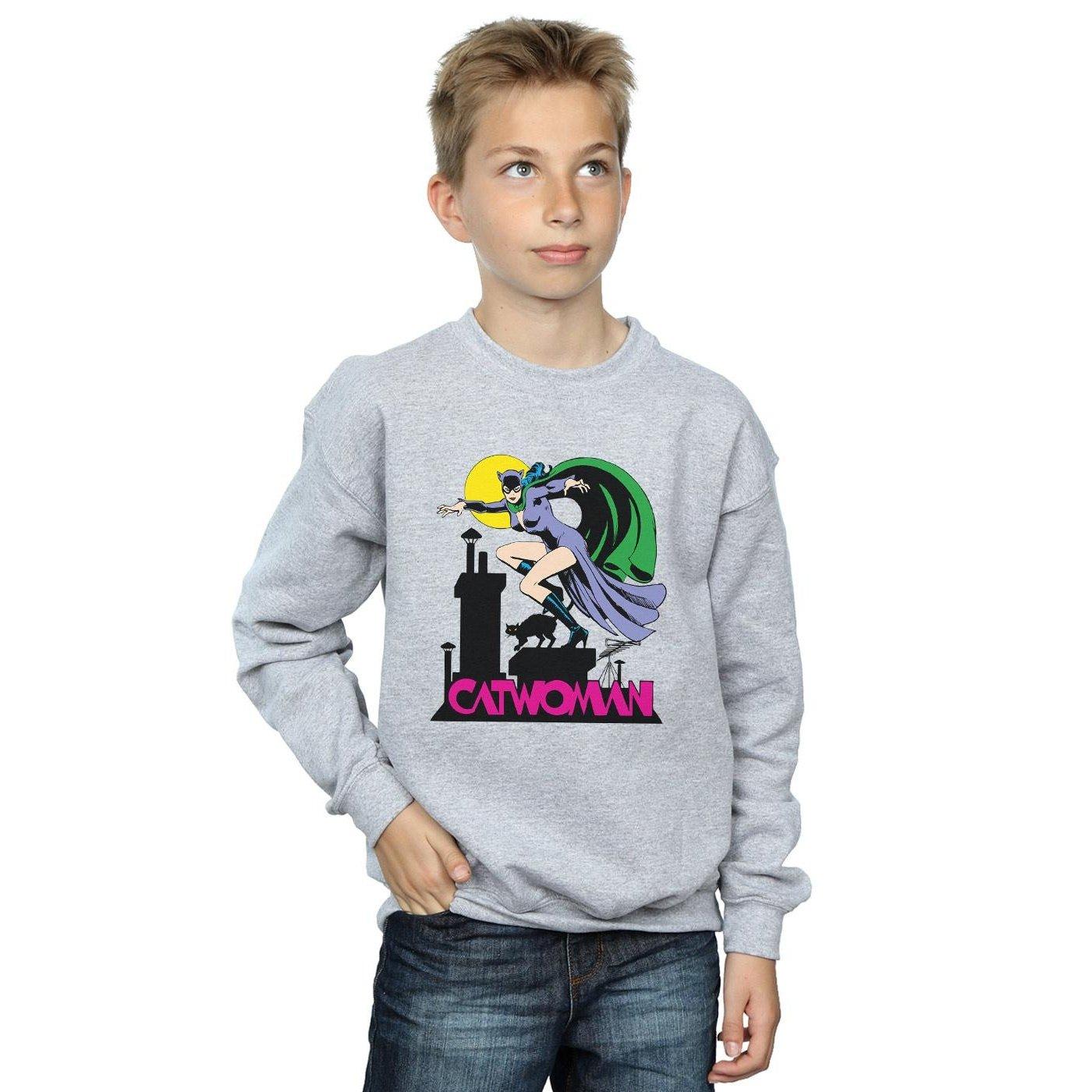 DC COMICS  Sweatshirt 