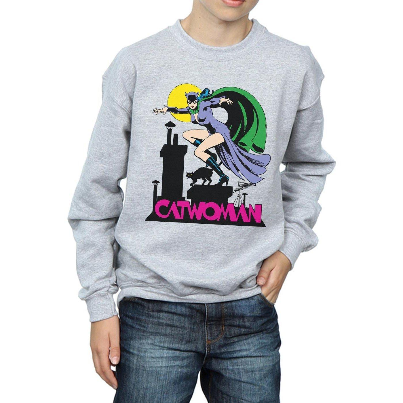 DC COMICS  Sweatshirt 