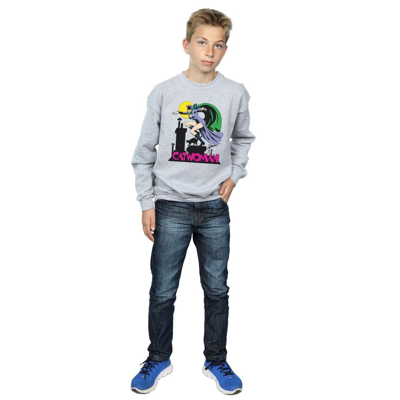 DC COMICS  Sweatshirt 