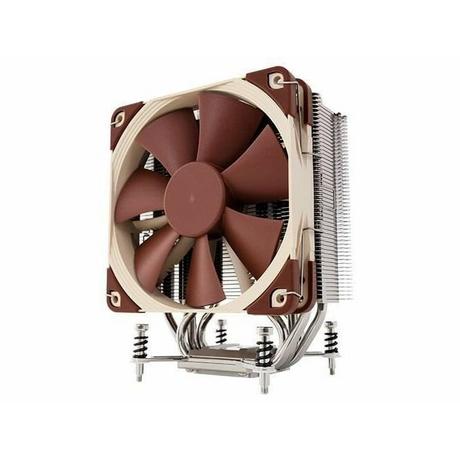 Noctua  Noctua 