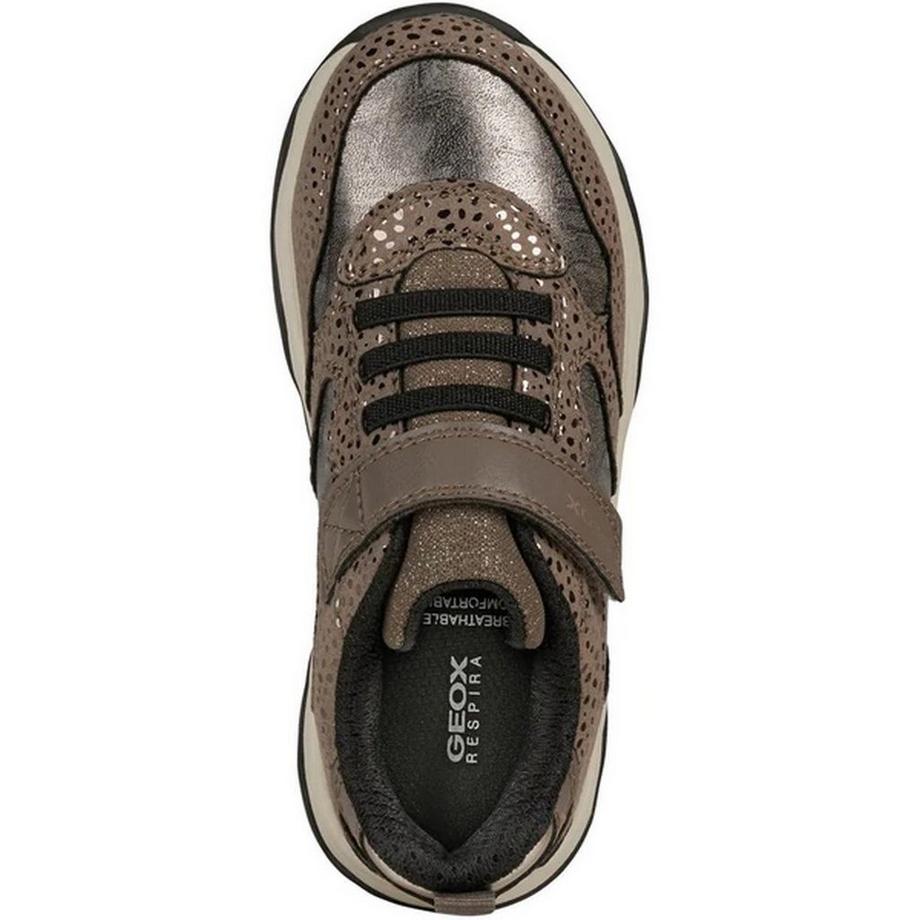 GEOX J Calco Sneaker  