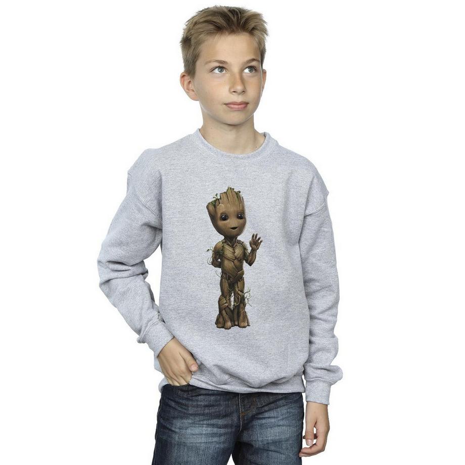 MARVEL  I Am Groot Sweatshirt 