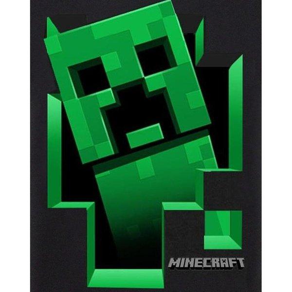 MINECRAFT  Inside TShirt 