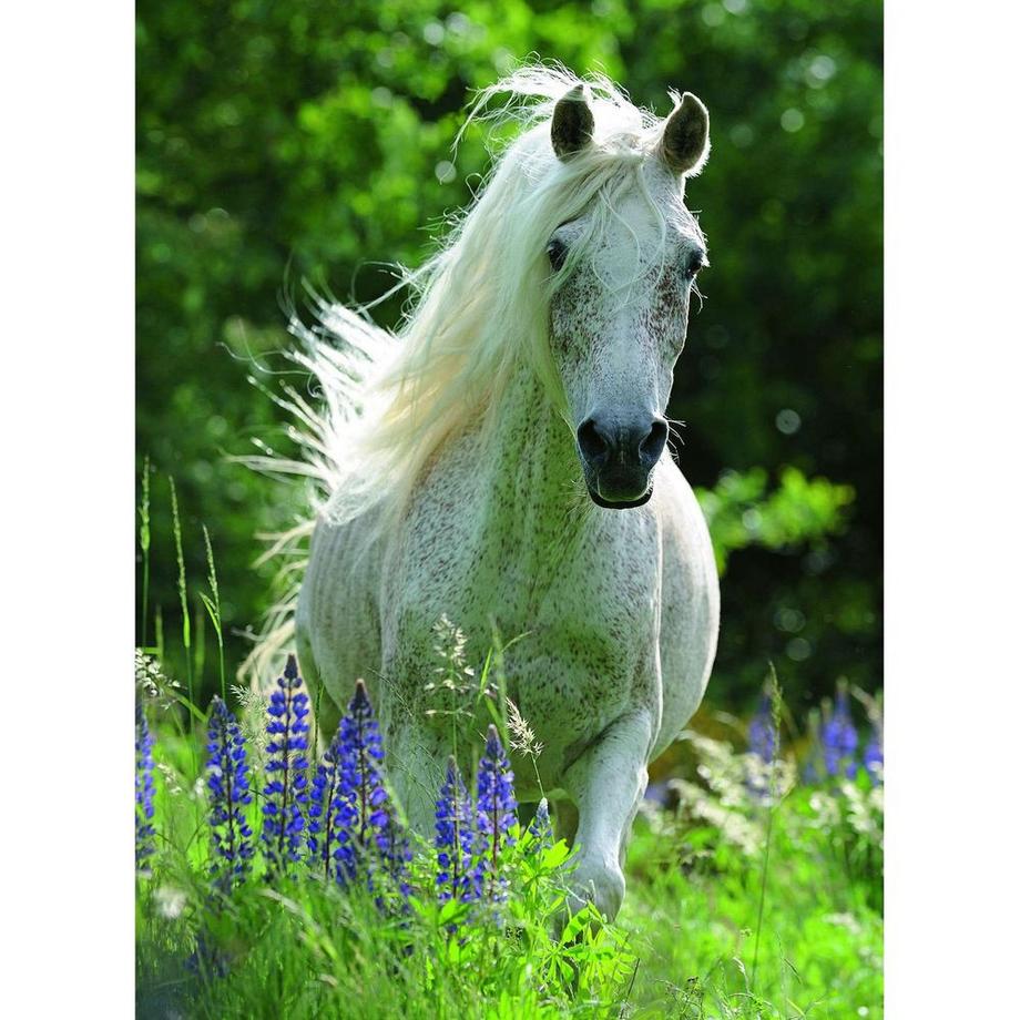 Ravensburger  Puzzle Weisse Stute (100XXL) 