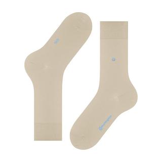 Burlington Lord Calzini  