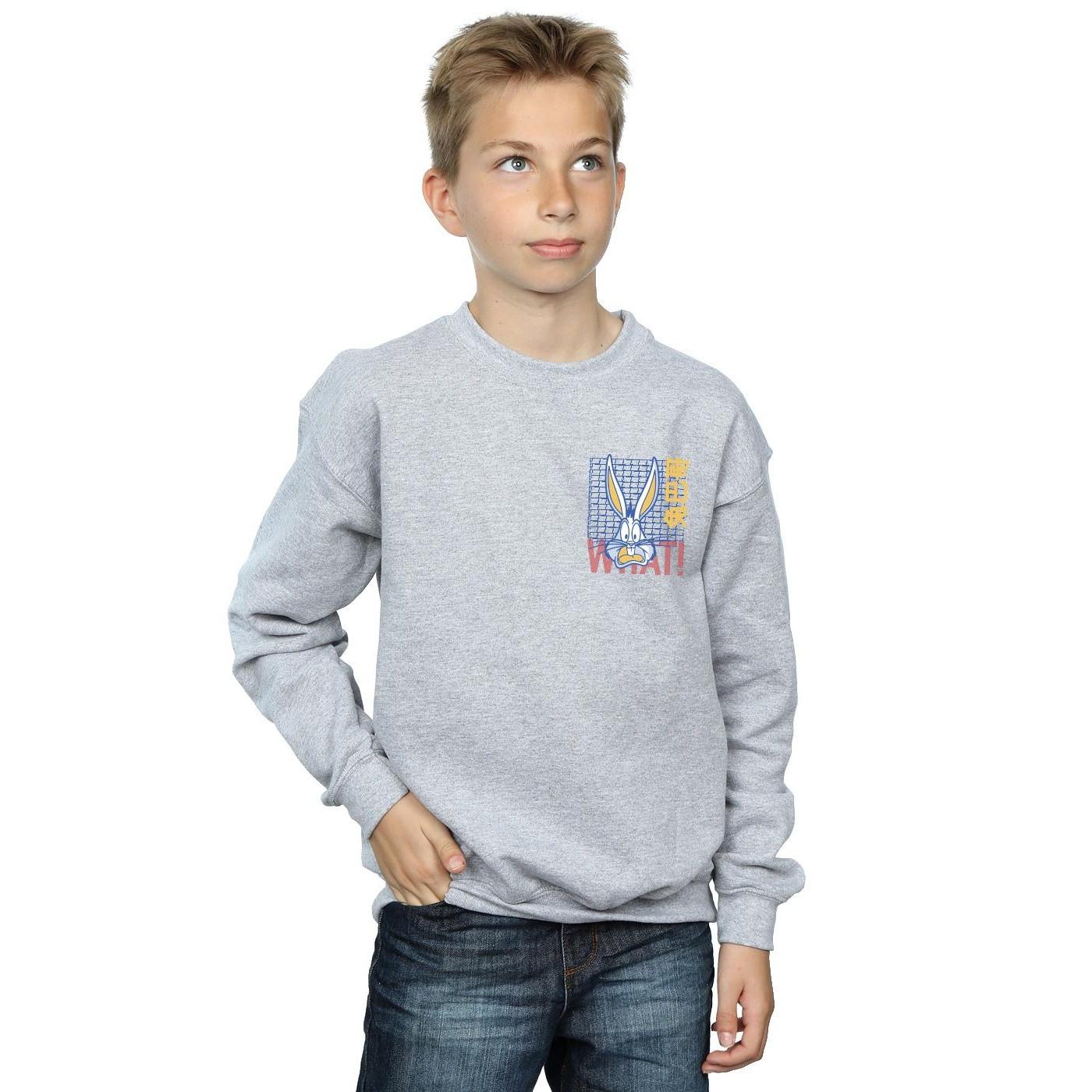 LOONEY TUNES  What Sweatshirt 