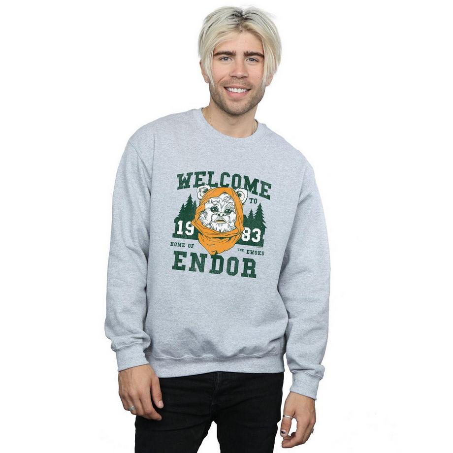 STAR WARS Endor Camp Sweatshirt  