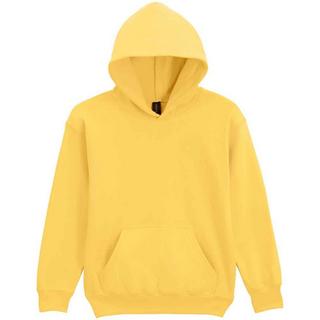 Gildan  Softstyle Kapuzenpullover 