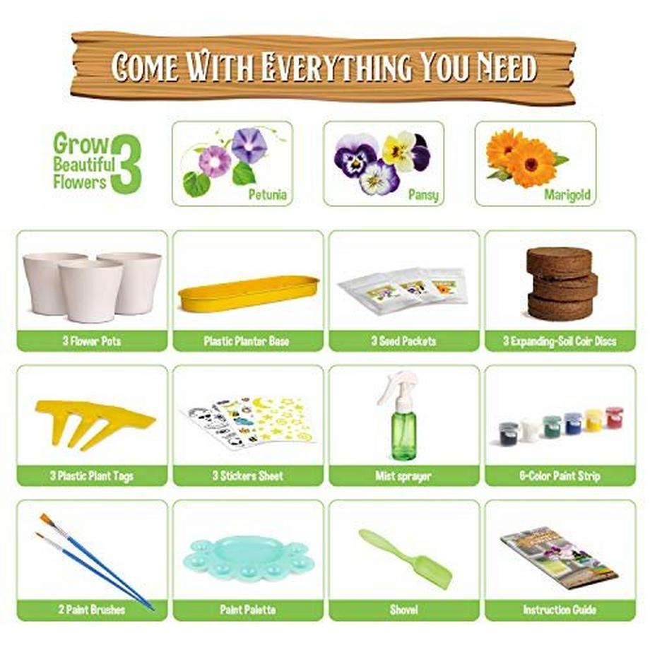 Activity-board  Malerei Garten Wachsende Set Pflanzen Bonsai-Pflanzen Wachsende Kinder Set Experimentierkasten 