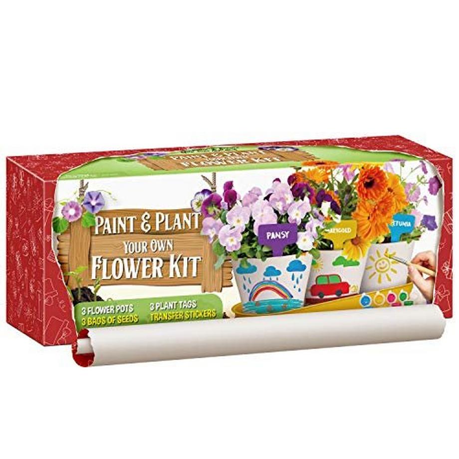 Activity-board  Malerei Garten Wachsende Set Pflanzen Bonsai-Pflanzen Wachsende Kinder Set Experimentierkasten 