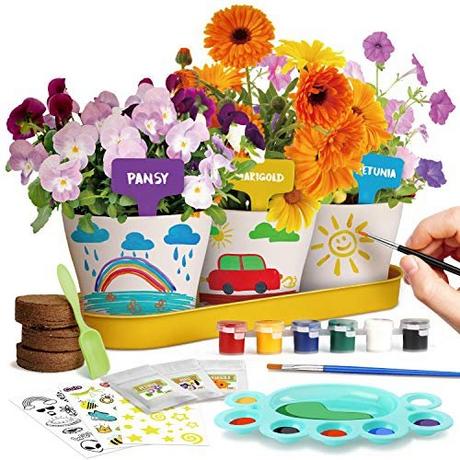 Activity-board  Ensemble de culture de jardin de peinture, plantes de bonsaï, Kit d'expérimentation pour enfants 