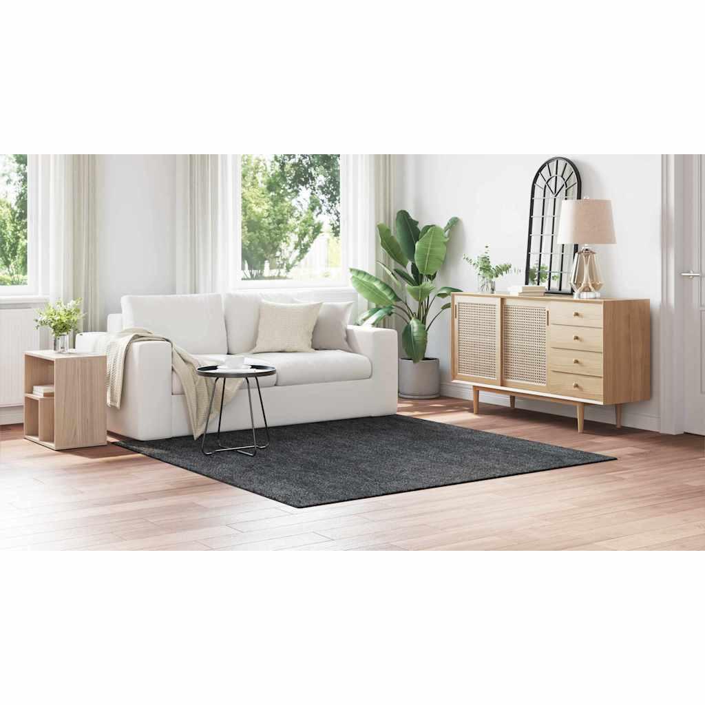 VidaXL  Tapis polypropylène 