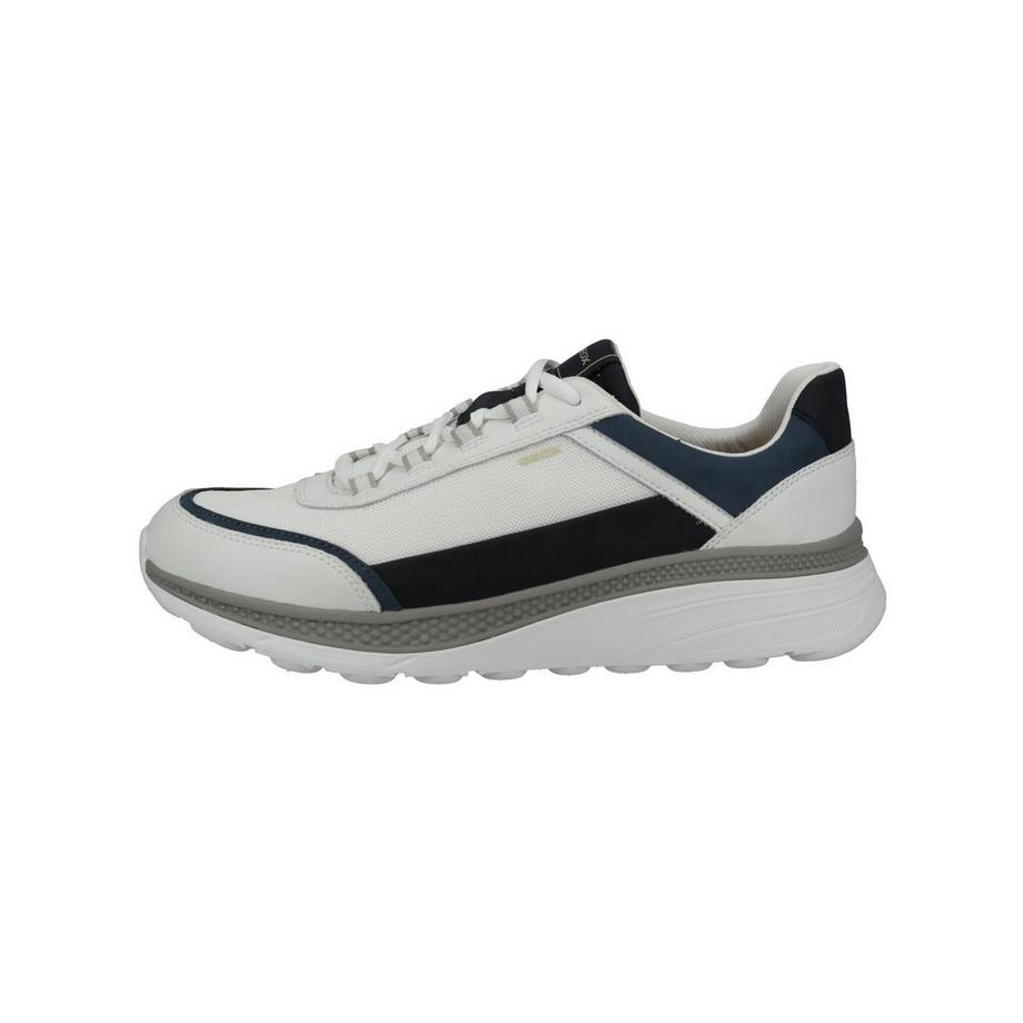 GEOX Sneaker  