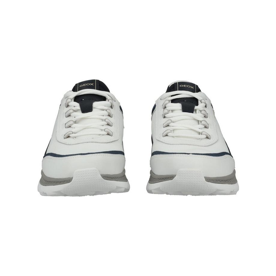 GEOX Sneaker  