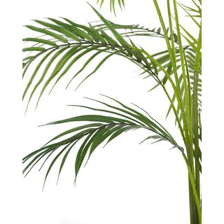 Beliani Pianta artificiale en Materiale sintetico ARECA PALM  