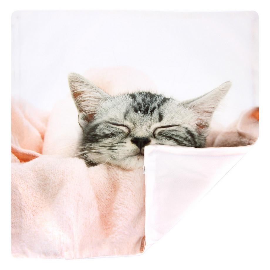 Avizar 2 Stk. Kissenbezüge Kätzchen mit Decke  