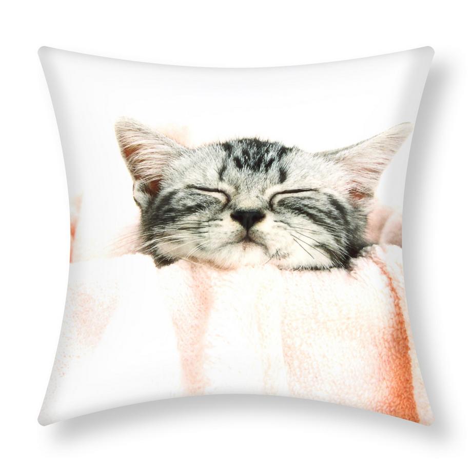 2 Stk. Kissenbezüge Kätzchen mit Decke