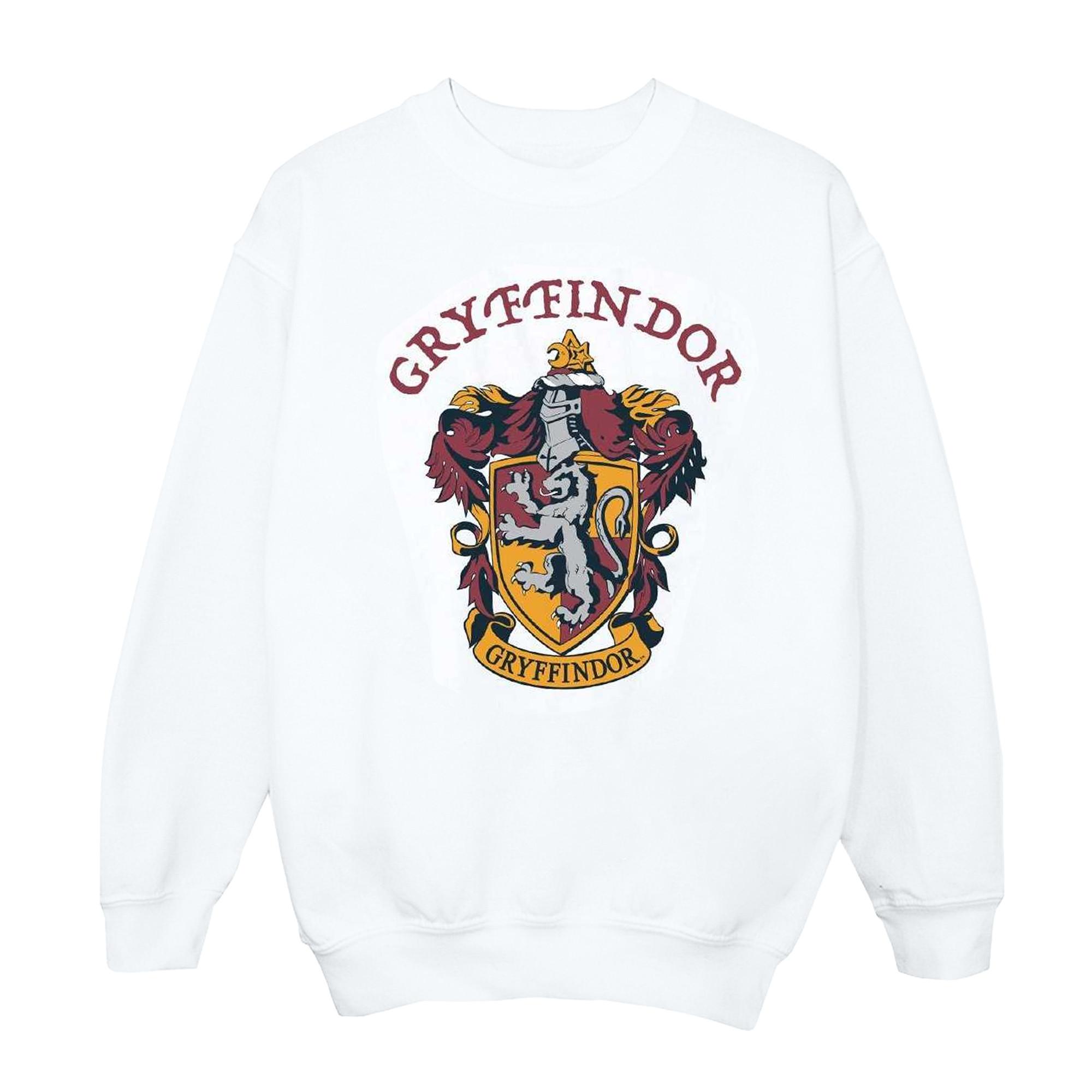 Harry Potter  Sweatshirt 