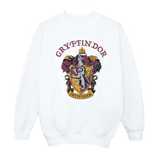 Harry Potter  Sweatshirt 