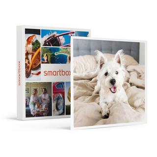 Smartbox  Séjour pour 2 en Suisse avec votre chien - Coffret Cadeau 