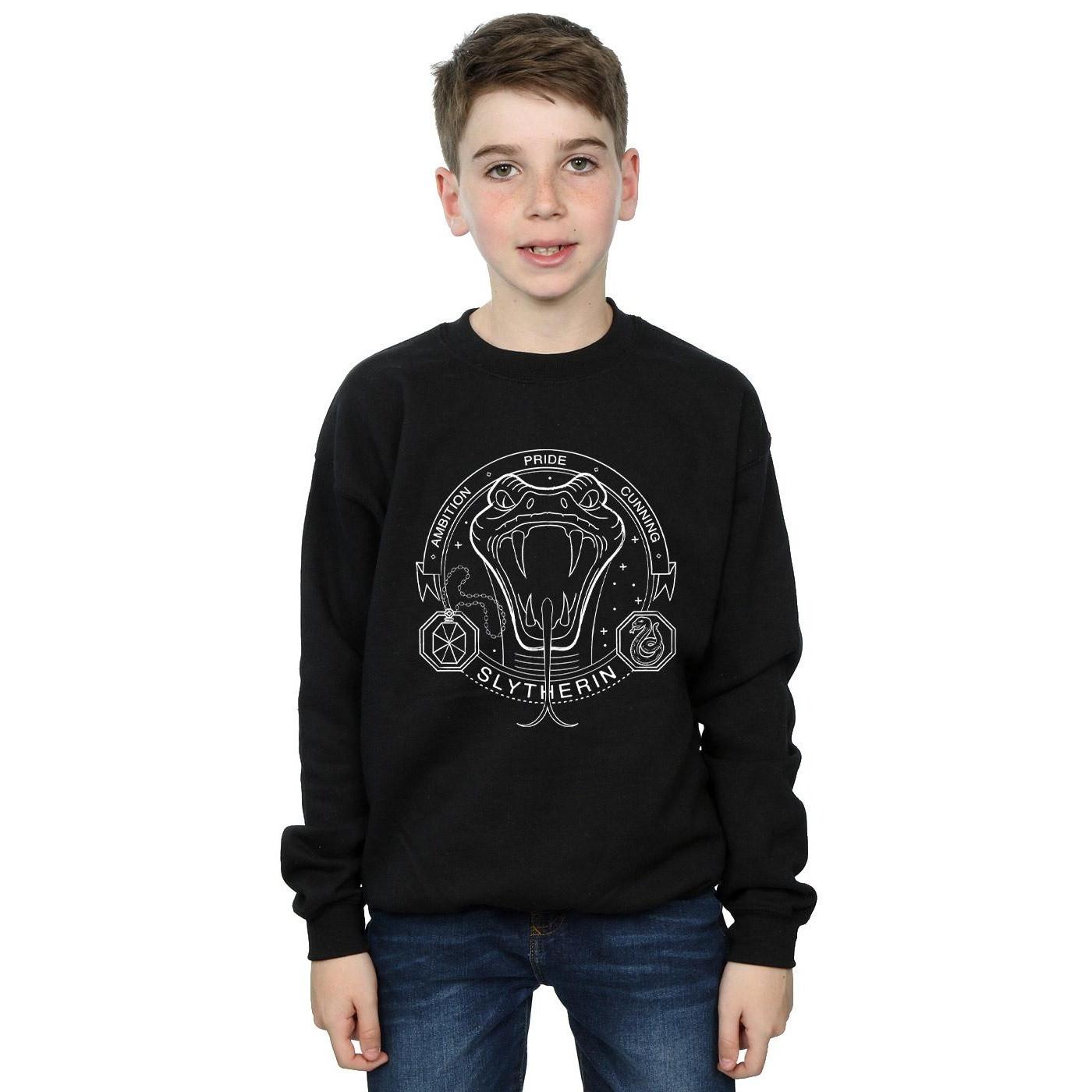 Harry Potter  Slytherin Sweatshirt 