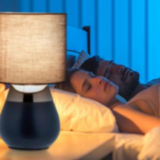 B2X Lampe de chevet avec fonction tactile bleu foncé  