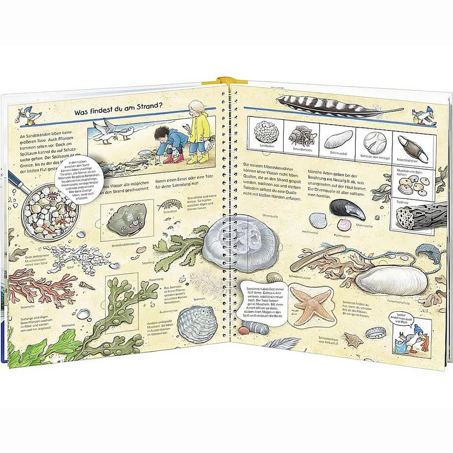 Wieso? Weshalb? Warum?, Band 17: Komm mit ans Meer Weinhold, Angela; Weinhold, Angela (Illustrationen) Gebundene Ausgabe 