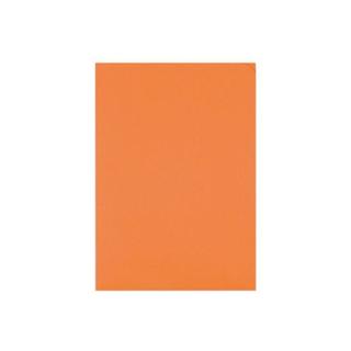elco ELCO Sichthülle Ordo Discreta A4 29466.82 orange, ohne Fenster 100 Stück  