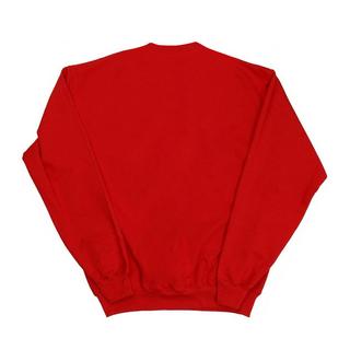 Wonder Woman Wonder Woman Logo Stella Felpa  