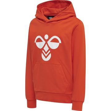 kinder-kapuzenpullover cuatro