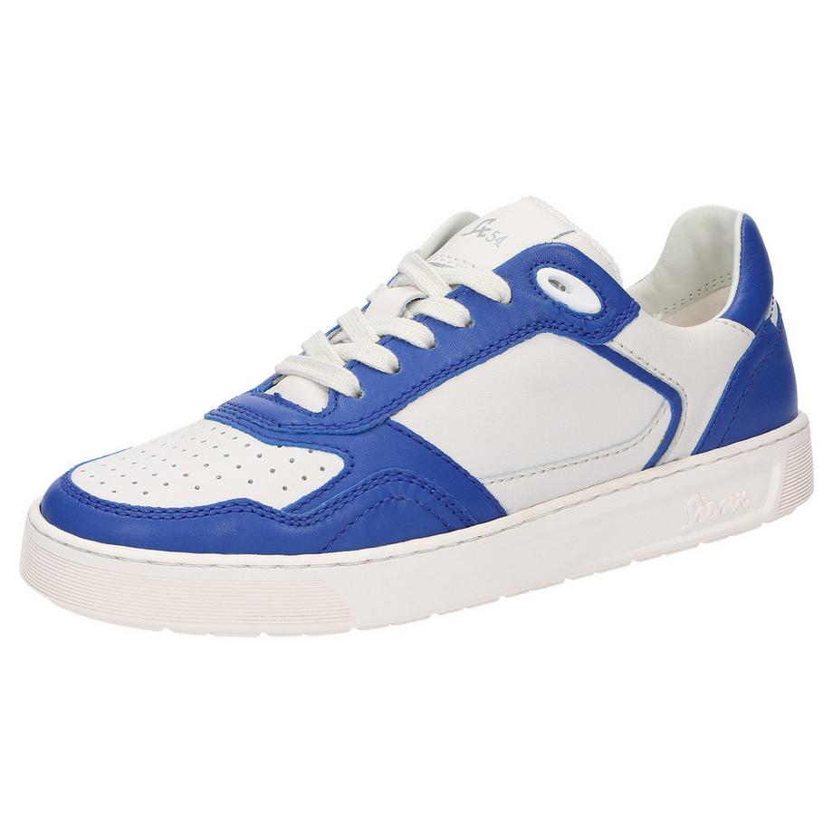 Sneaker Tedroso-DA-700