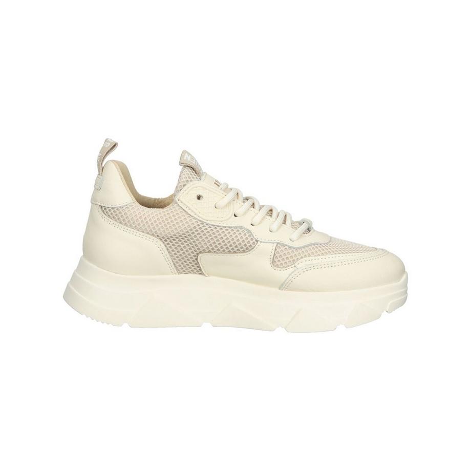 STEVE MADDEN Pitty Sneaker Suola Chunky  