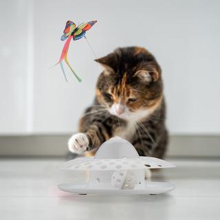 Northix  Katzenspielzeug mit Ball & Schmetterling 
