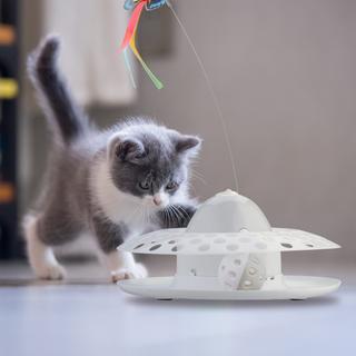 Northix  Katzenspielzeug mit Ball & Schmetterling 