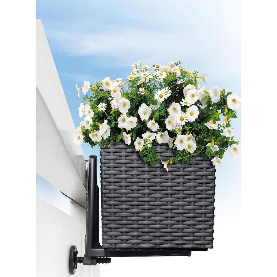 Lechuza Pflanzkasten halterung  