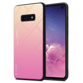 Cadorabo  Housse compatible avec Samsung Galaxy S10e - Coque de protection bicolore en silicone TPU et dos en verre trempé 