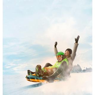 Gizmo Riders  Bob Galactus lava 