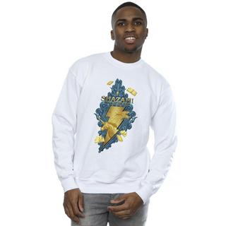 DC COMICS  Fury Of The Gods Sweatshirt 