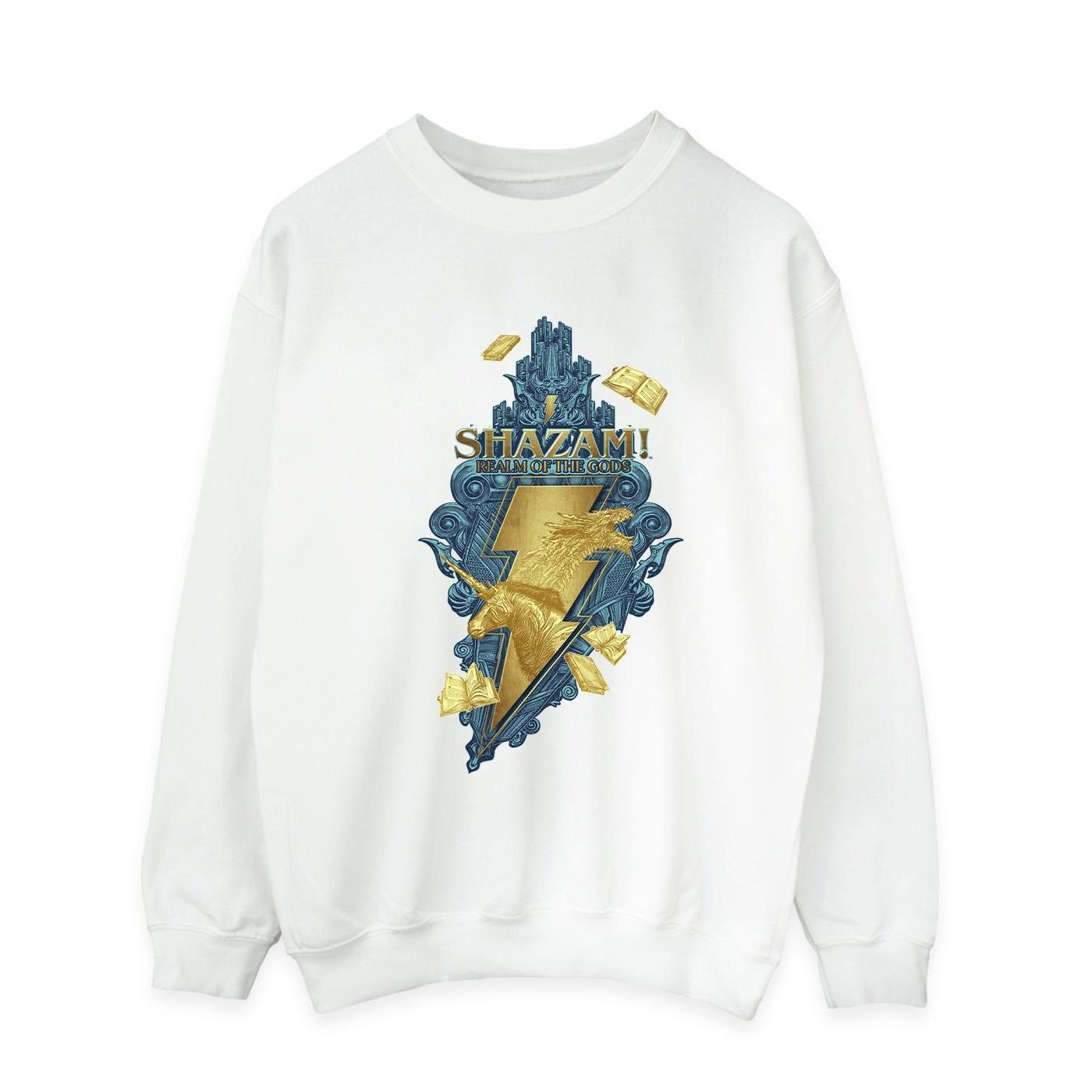 DC COMICS  Fury Of The Gods Sweatshirt 