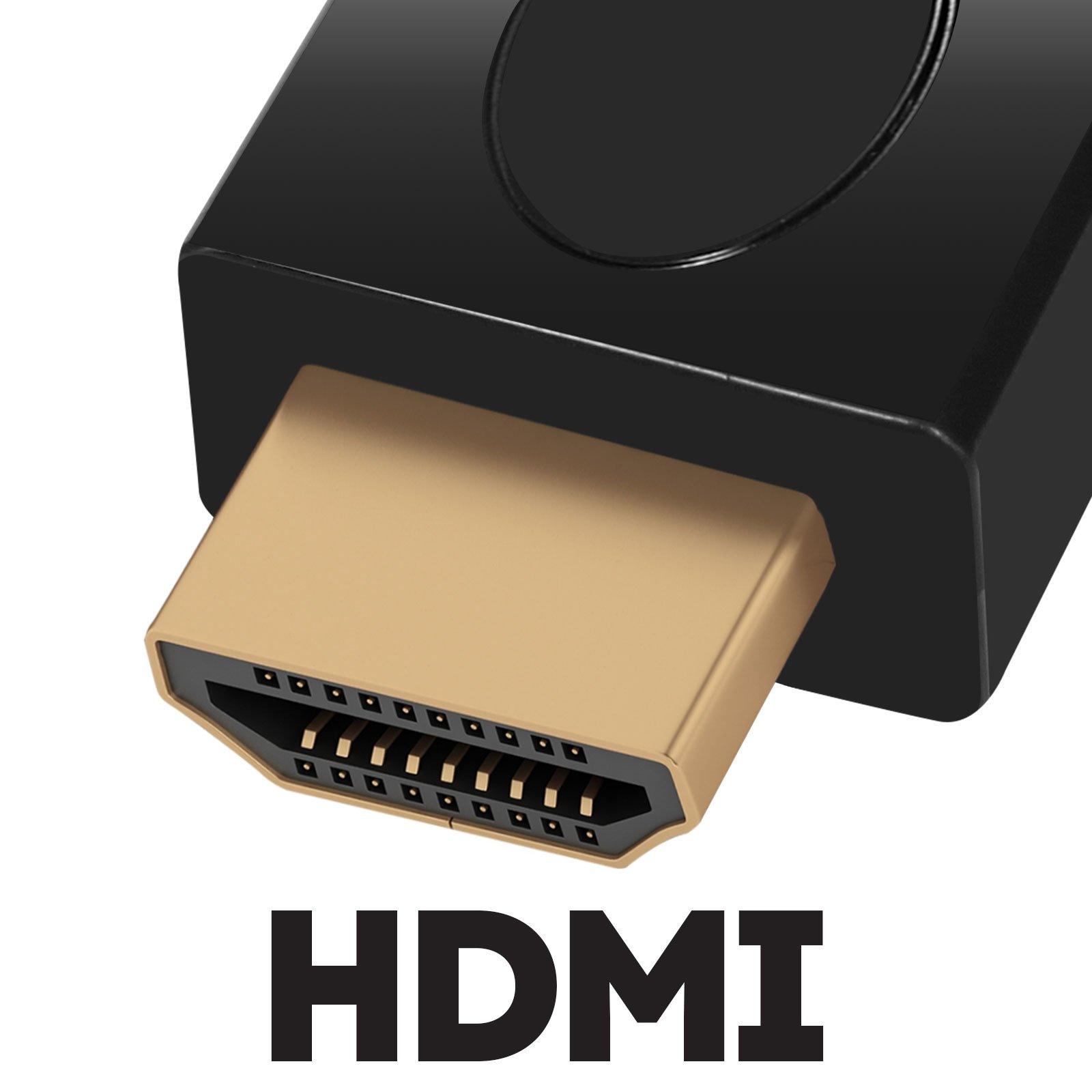 Avizar  Adaptateur HDMI Rotatif Coudé Max Excell 