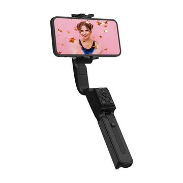 HOHEM Stabilisierungsstab iSteady Q Schwarz